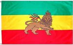 3'x5'>Ethiopia Lion