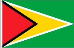 3'x5'>Guyana