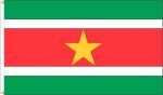3'x5'>Suriname