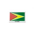Fridge Magnet>Guyana