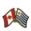 Friendship Pin>Uruguay