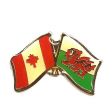 Friendship Pin>Wales