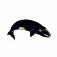 CDA Wildlife Pin>Blue Whale