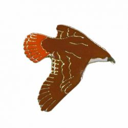 CDA Wildlife Pin>Hawk