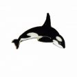 CDA Wildlife Pin>Killer Whale