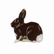 CDA Wildlife Pin>Rabbit
