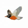 CDA Wildlife Pin>Robin