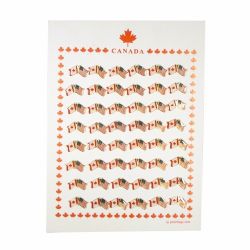 Pin Card>Canada/USA Friendship