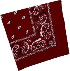 Bandana>Paisley Burgunndy