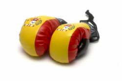 Boxing Gloves>Spain