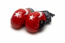 Boxing Gloves>Turkey