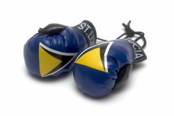 Boxing Gloves>Saint Lucia