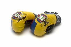 Boxing Gloves>Ecuador