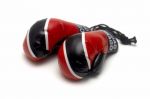 Boxing Gloves>Trinidad