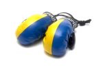 Boxing Gloves>Ukraine Pl