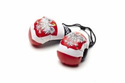Boxing Gloves>Poland Egl