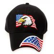 Cap>USA 3D Eagle