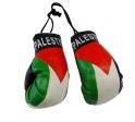 Boxing Gloves>Palestine
