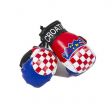 Boxing Gloves>Croatia