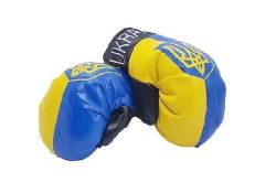 Boxing Gloves>Ukraine TRI