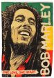 3'x5'>Bob Marley One Love One Heart