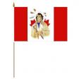 12"x18" Flag>Native Indian