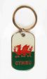 Keychain>Wales