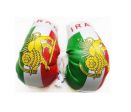 Boxing Gloves>Iran Lion