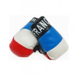 Boxing Gloves>France