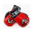 Boxing Gloves>AC Milan