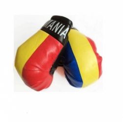 Boxing Gloves>Romania