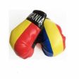 Boxing Gloves>Romania