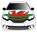 Car Hood Flag>Wales