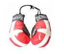 Boxing Gloves>Denmark
