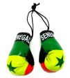 Boxing Gloves>Senegal