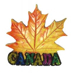 CDA Magnet>Maple Leaf Fall Color