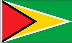2'x3'>Guyana