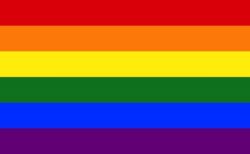 Flag 4.5x9ft>Rainbow/Pride Premium